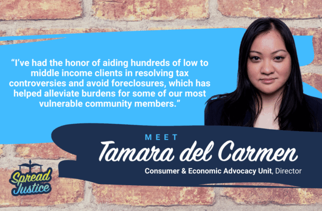 The Low-Income Taxpayer Clinic