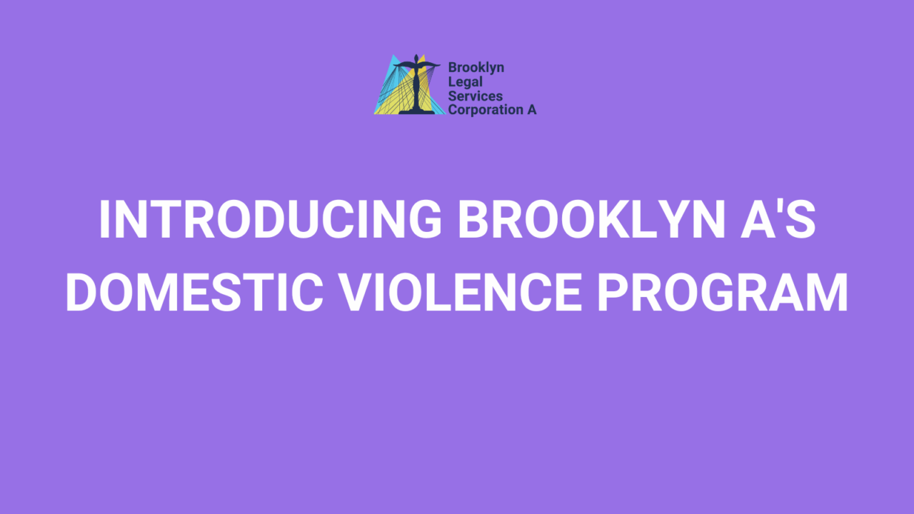 Image representation of Introducing Brooklyn A's Domestic Violence Program