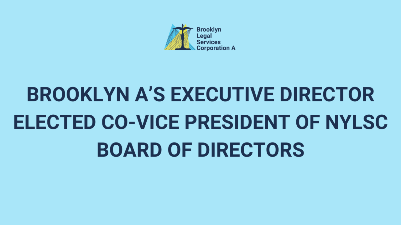 Image representation of Brooklyn A's Executive Director Elected Co-Vice President of NYLSC Board